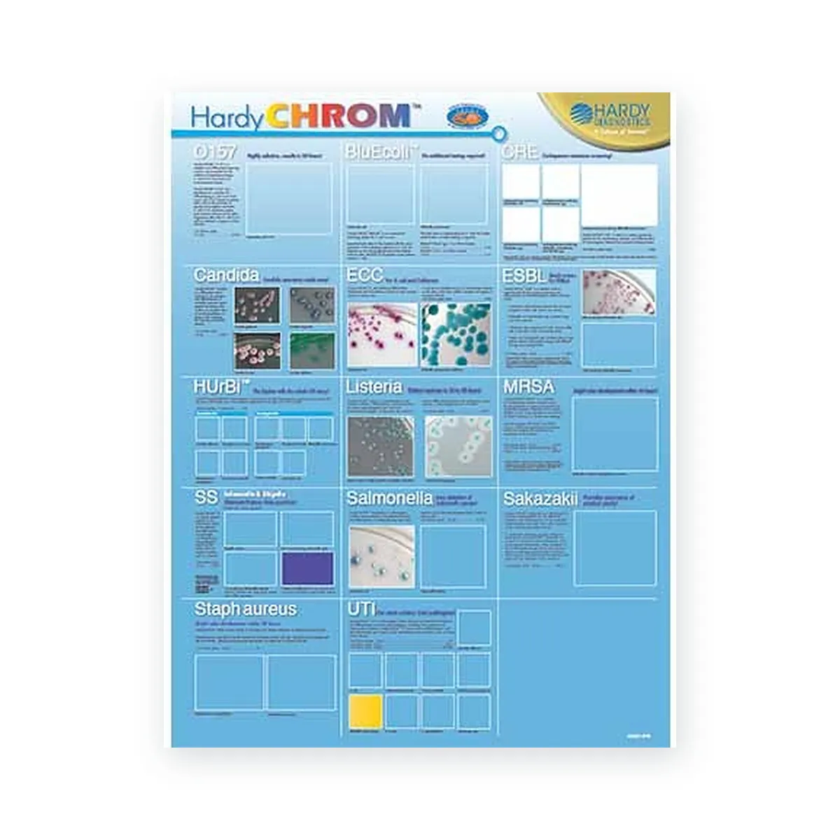 HardyCHROM™ Carbapenemase